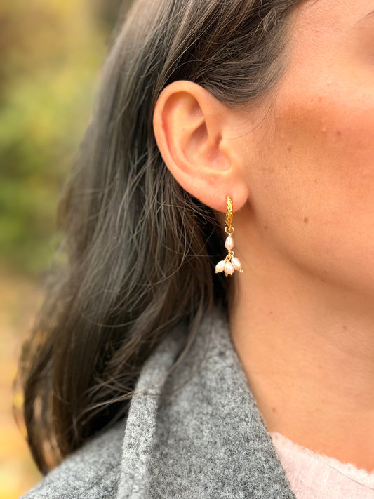 Boucles d'Oreilles - AVA